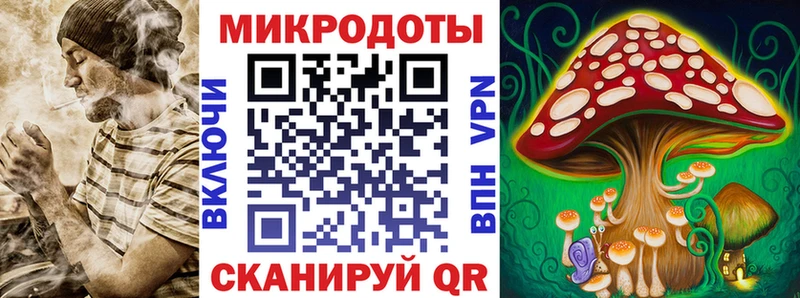Псилоцибиновые грибы GOLDEN TEACHER  Купить закладки  Таштагол 